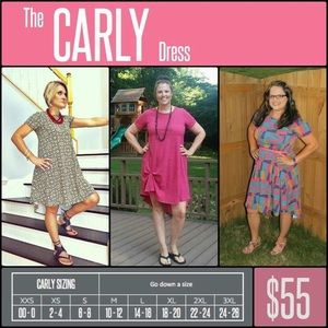 LuLaRoe Carly Dress 👗